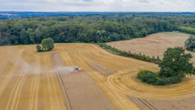 «Русагротранс» в очередной раз повысил прогноз по урожаю-2023 пшеницы
